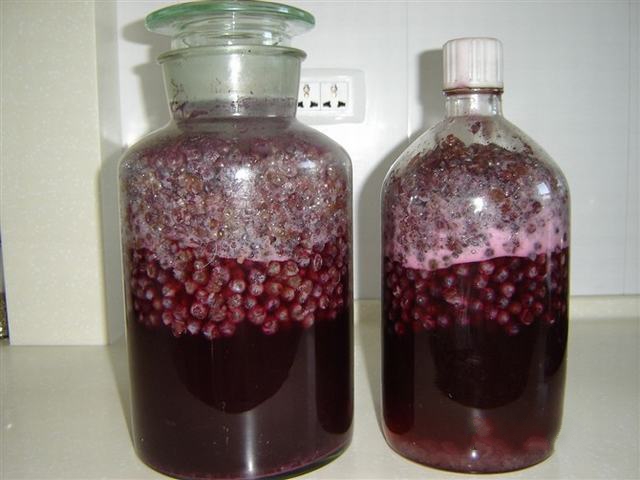 自制葡萄酒全过程发酵和二次发酵