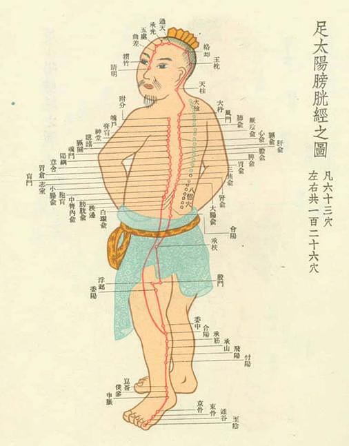 后背,臀部,后腿,脚外侧都是膀胱经循行的位置,像后背,臀部上的赘肉